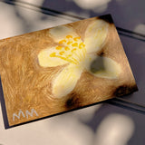 Butter Yellow Flower · Original Painting