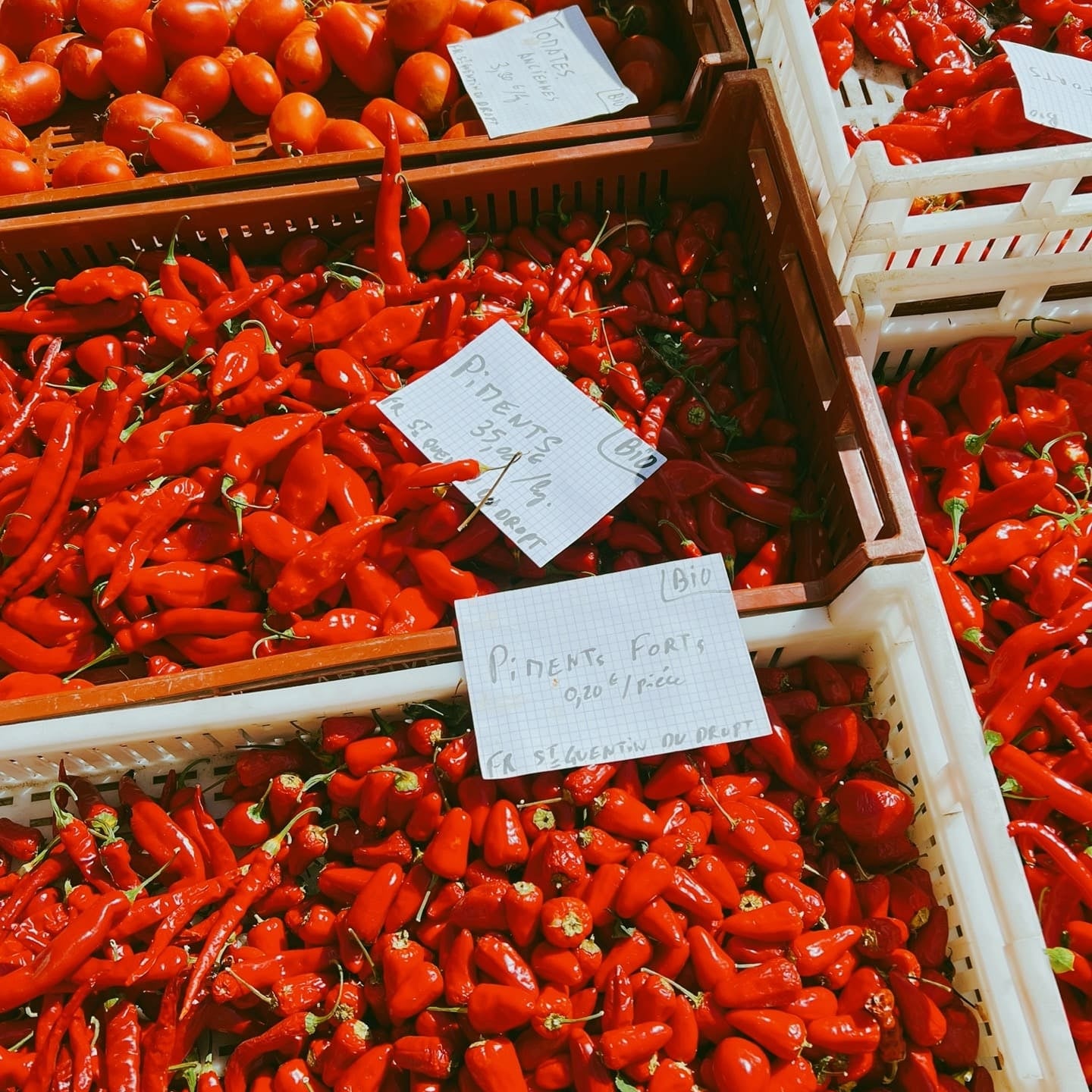 organic red chilli cherry tomatoes in france french market bordeaux 