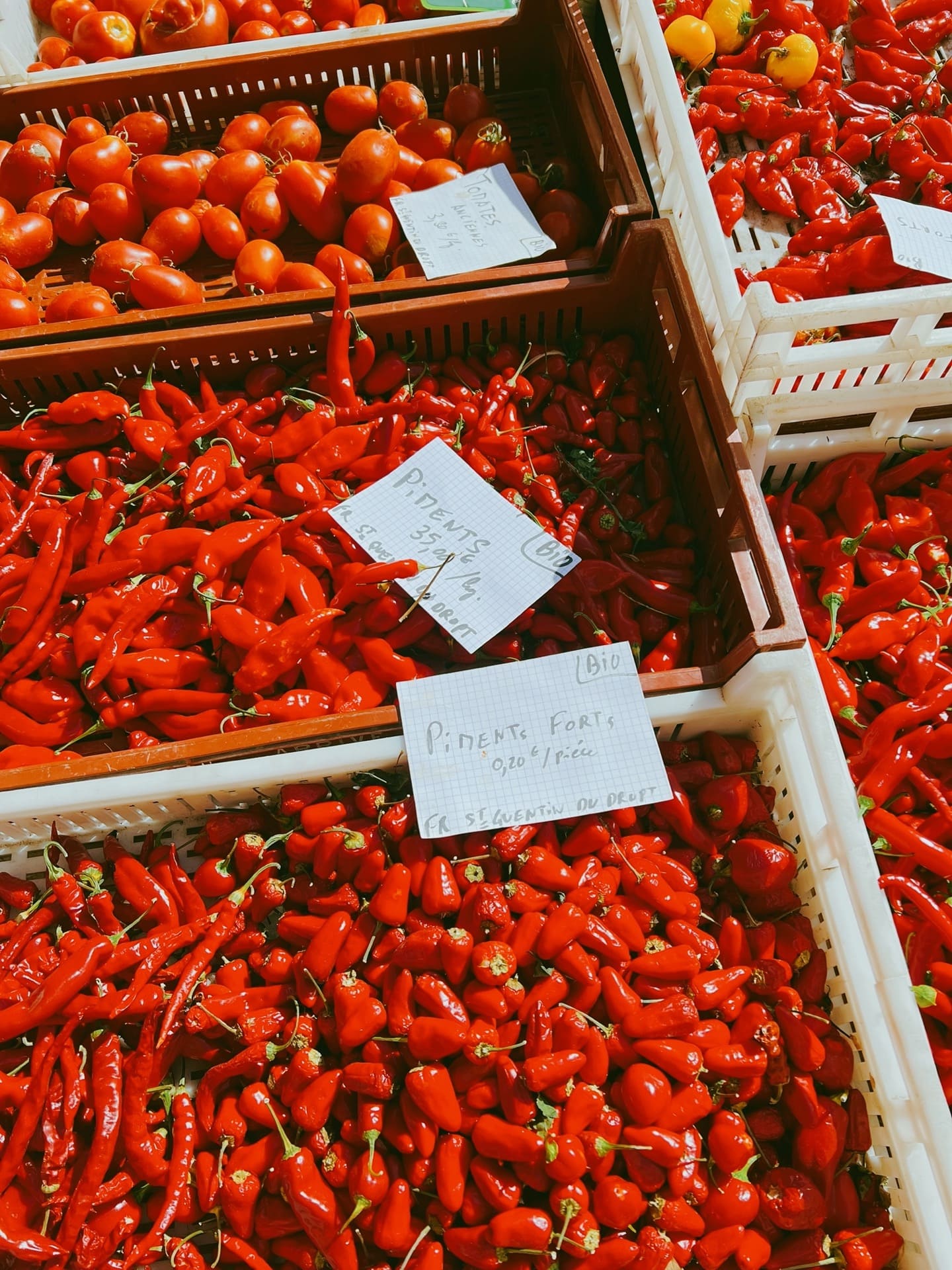 organic red chilli cherry tomatoes in france french market bordeaux 